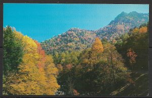 Tennessee - Autumn Colors near The Chimney Tops - [TN-079]