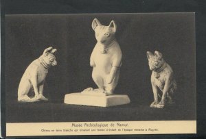 Museum Postcard - Musee Archeologique De Namur - Chiens En Terre Blanche RS12741