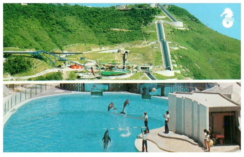 The Ocean Park Aberdeen Hong Kong Postcard PC1049