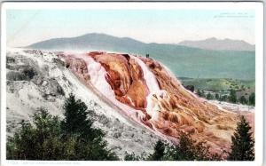 YELLOWSTONE NATIONAL PARK, WY Wyoming  JUPITER TERRACE  c1910s  Postcard