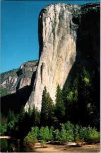 Continental Postcard El Capitan Yosemite National Park, California CE15