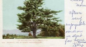 NH - Center Harbor, The Whittier Pine