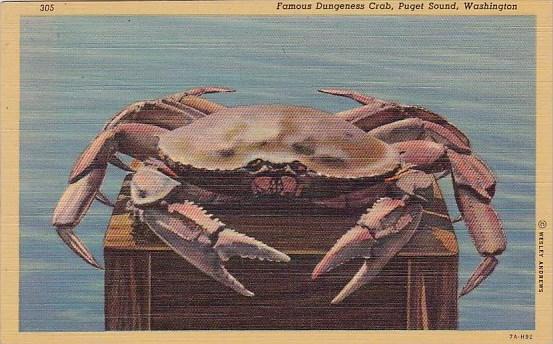 Famous Dungeness Crab Puget Sound Washington