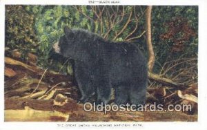 Great Smoky Mountain National Park Bear, Black and Brown Bear Unused 