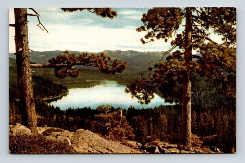 Donner Lake California Scenic Western Landscape Mountains Chrome Postcard 