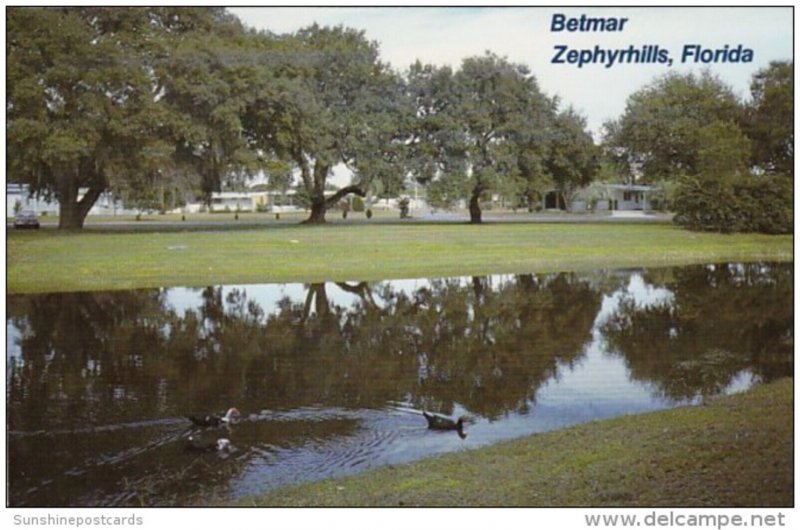 Florida Zephyrhills Betmar Recreation Faclilities