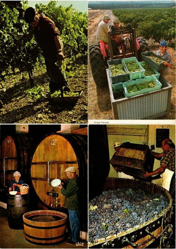 ALCOHOL WINE PRODUCTION 300 MODERN Postcards mostly FRACE (L2327)