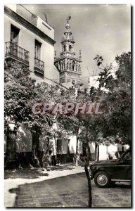 Old Postcard Sevilla Plaza de la Alianza Place of & # 39Alianza Alianza Square