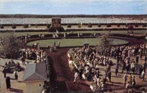New Jersey  Atlantic City Race Course, Paddock Walking Ring,