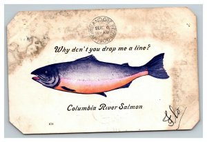 Vintage Early 1900's Postcard Comic Columbia River Salmon Drop Me a Line