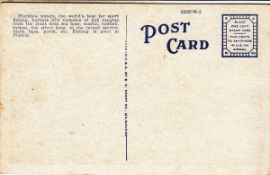 P1748 old unused postcard  bass fishing near ocala florida