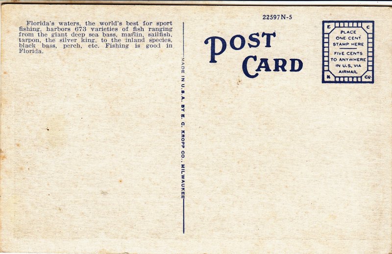 P1748 old unused postcard  bass fishing near ocala florida
