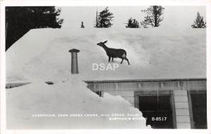A71/ Mill Creek California Ca Postcard Real Photo RPPC c50s Deer Creek Lodge