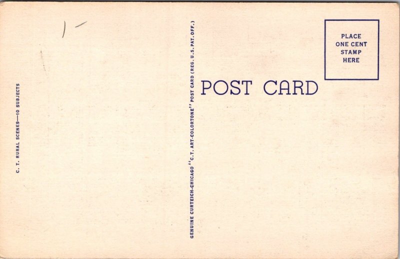 Tree in Bloom, Horses Pulling Plow, Greetings From the Jersey Shore Postcard Y37