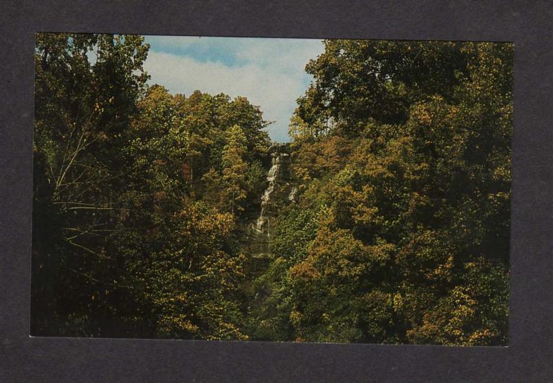 GA Amicalola Falls State Park Dawsonville Georgia Postcard Water Fall