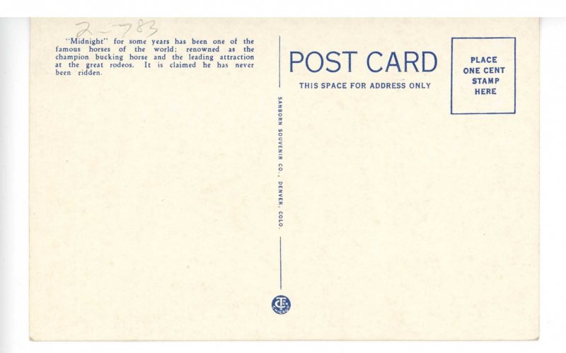 Midnight World Famous Bucking Horse