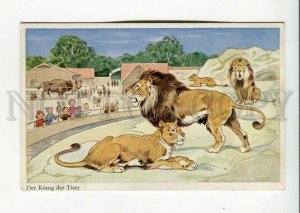 3160683 ZOO Kids LION Lioness by FB BAUMGARTEN Vintage PC