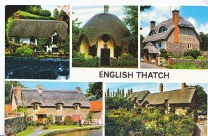 English Historical Buildings Postcard - Views of English Thatched Houses  BH3484