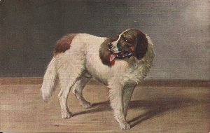 Big Dog, 1910, German Lithograph, St. Bernard? Animal Portrait