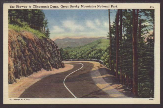 Skyway to Clingman's Dome,Great Smoky Mountains Postcard 