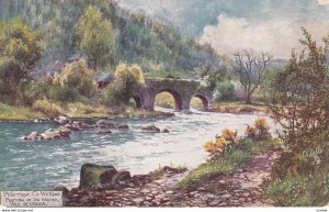 Picturesque Co. Wicklow, Meeting Of The Waters, Vale Of Ovoca, 1900-1910s; TU...