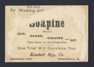 PROVIDENCE R.I. Soapine whale North Pole US flag Victorian Trade Card VTC Chromo