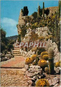 Modern Postcard The French Riviera and its exotic gardens (Eze village)