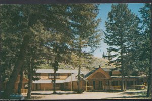 America Postcard - Shoshone Lodge, A Motel Among The Pines, Yellowstone RT1102