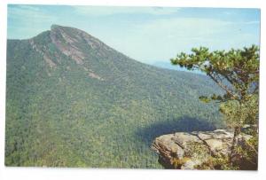 Hawkbill Mountain North Carolina Blue Ridge NC Postcard