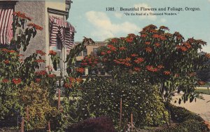 Beautiful Flowers and Foliage, Oregon, 00-10s