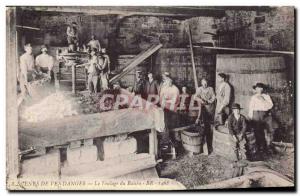 Old Postcard Folklore Wine Vineyard Harvest The treading of grapes TOP