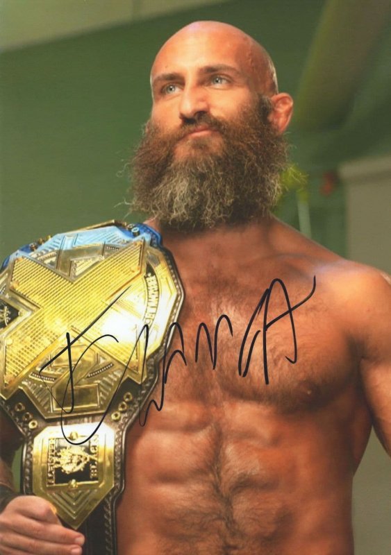 Tommaso Ciampa WWE Wrestling Ultimate 12x8 Hand Signed Photo