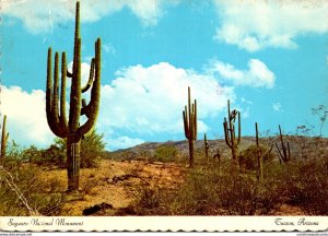Arizona Tucson Saguaro National Monument 1977