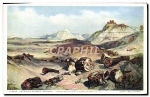 Old Postcard Arizona Petrified Forest