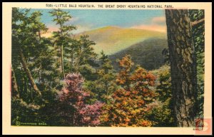 Little Bald Mountain, The Great Smoky Mountains National Park