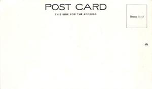 Post Card Old Vintage Antique Waiting for the Papers Unused