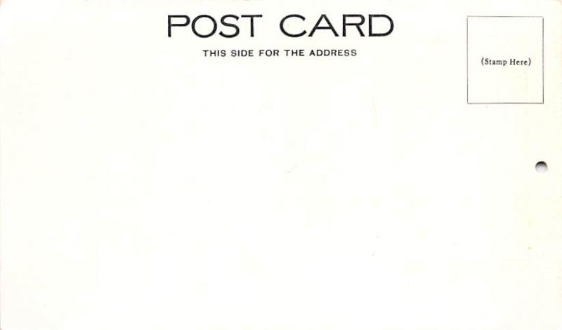 Post Card Old Vintage Antique Waiting for the Papers Unused