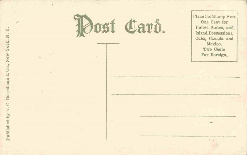 Fruit Farm Panorama Traverse City Michigan 1910c postcard