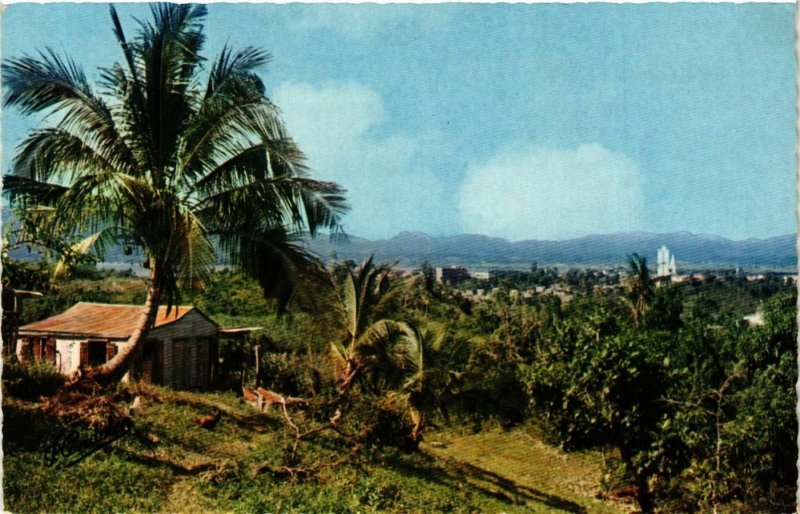 CPM Pointe a Pitre- Paysage dans la banlieue GUADELOUPE (880002)