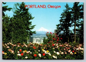 Mount Hood From Washington Park Rose Gardens Portland Oregon 4x6 Postcard 1785