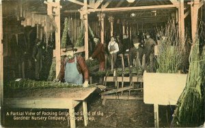 Agriculture Farming Postcard Gardner Nursery Osage Iowa Packing Cellar 13238