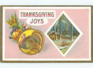 Divided-Back THANKSGIVING SCENE Great Postcard AA0517