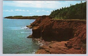 Rugged Coastline, Prince Edward Island, Vintage Chrome Postcard