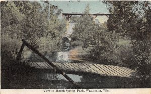 J29/ Waukesha Wisconsin Postcard c1910 Horeb Spring Park Bridge  89