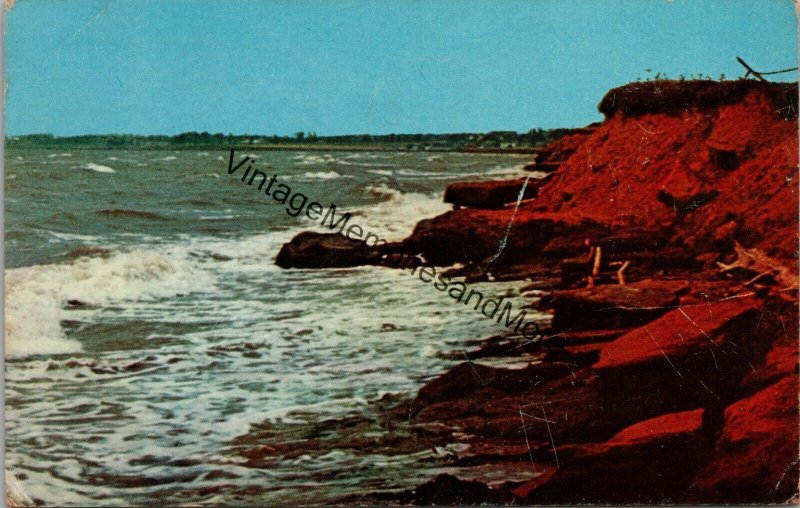Rich Red Soil and Surf on the Shores of Prince Edward Island Postcard PC273