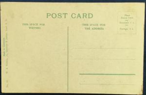 Postcard Unused Twin Falls Black Hills SD LB