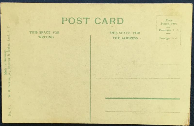 Postcard Unused Twin Falls Black Hills SD LB