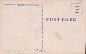 Natures Painting  PC