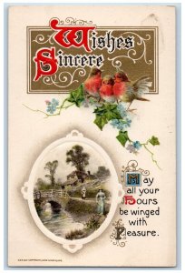 1911 Wishes Sincere Birds Flowers John Winsch Embossed Posted Antique Postcard 