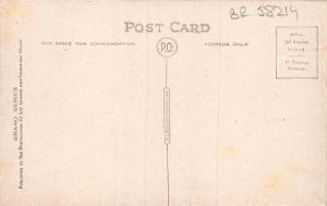 BR58214 front looking from west   brighton    uk